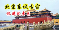 国产鸡巴视频中国北京-东城古宫旅游风景区